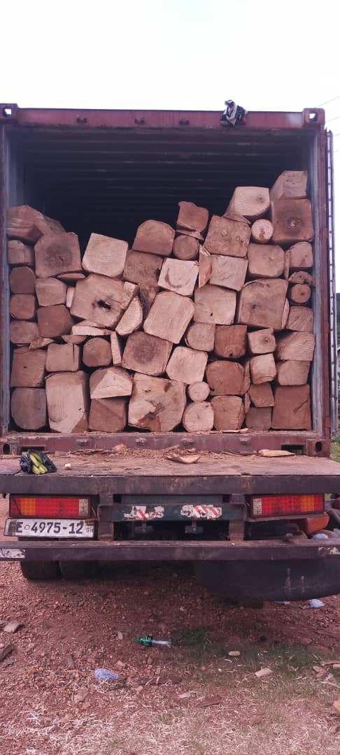 Tali Hardwood