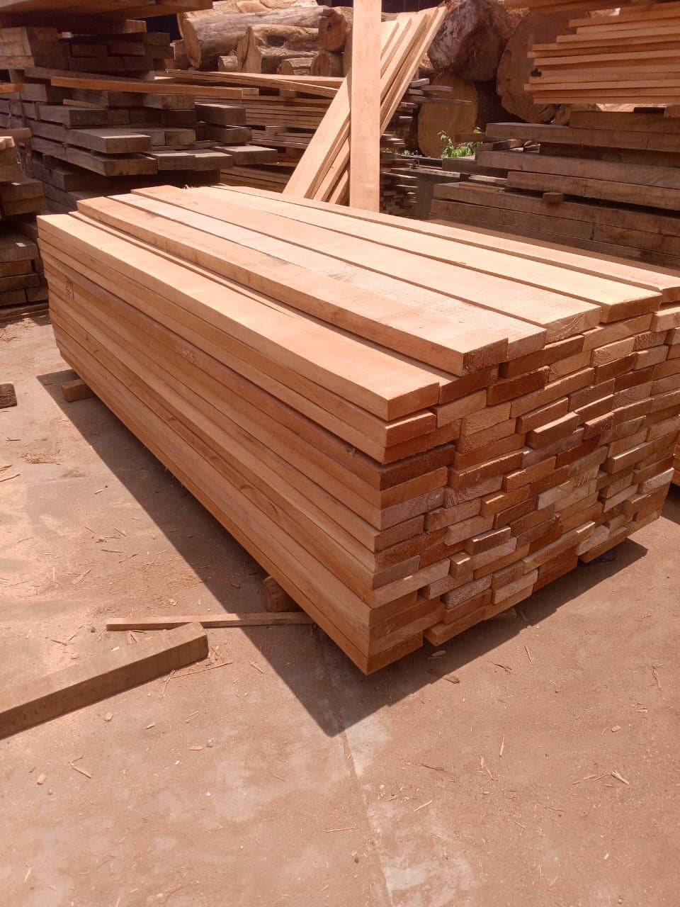 Ceiba Softwood