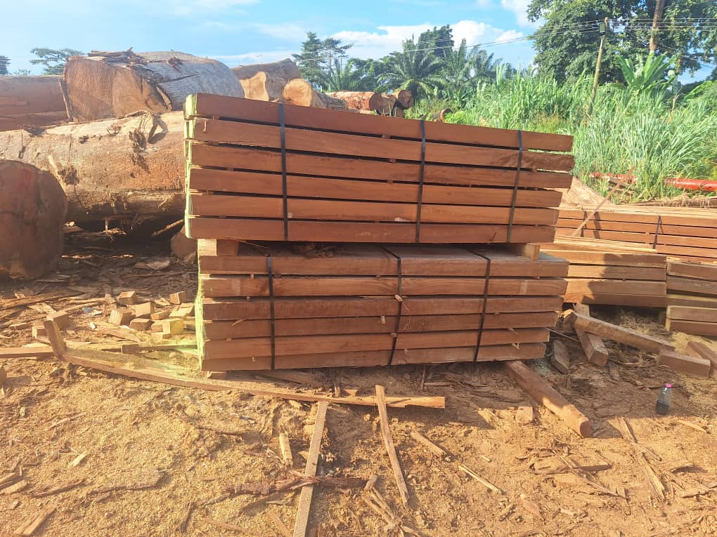 Dossue Hardwood