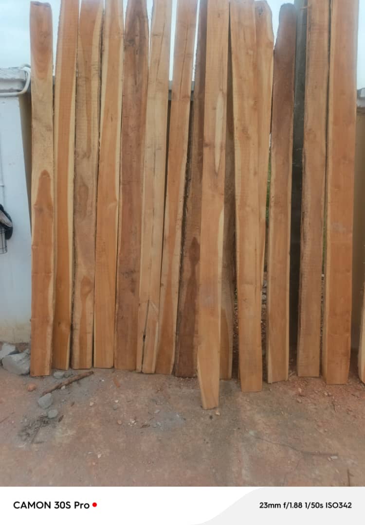 Premium African Red Cedar